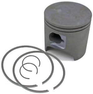 Arctic Cat Piston Assembly 3006-393 ZR900 King Cat 900 Mountain Cat 900 '03-'06