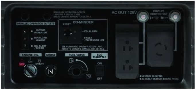 Honda EU3000IS1AN 3000-Watt 120-Volt Inverter Generator with CO-MINDER - 49-State 664270